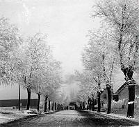 B86972.2_Ringstedgade, vintertid, u.å..tif