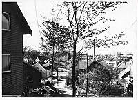 B 87989_Violstræde.tif