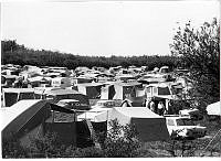 B87913_Vigen strandpark, set mod campingpladsen, u.å..tif