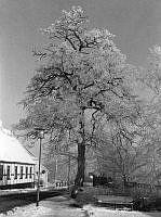 Havnevej 41-43_b17906.jpg