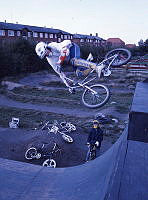 B87556_BMX.tif
