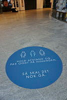 B91701_Ros Torv foto nr. 1.JPG